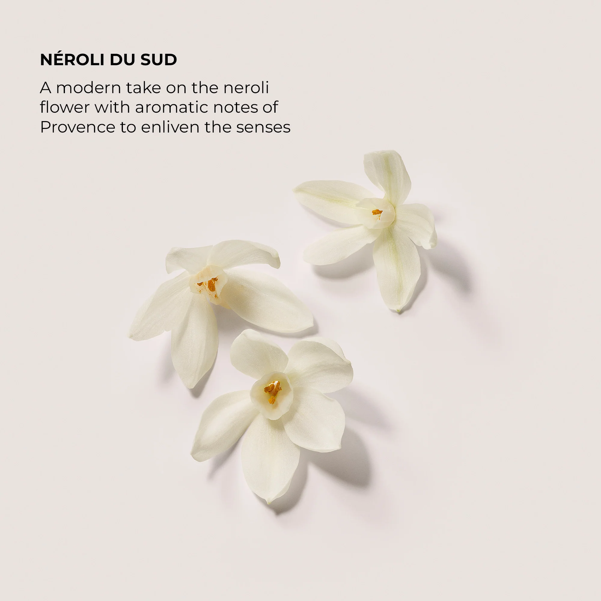 Néroli du Sud Aromatic Bath & Body Oil - Image 4