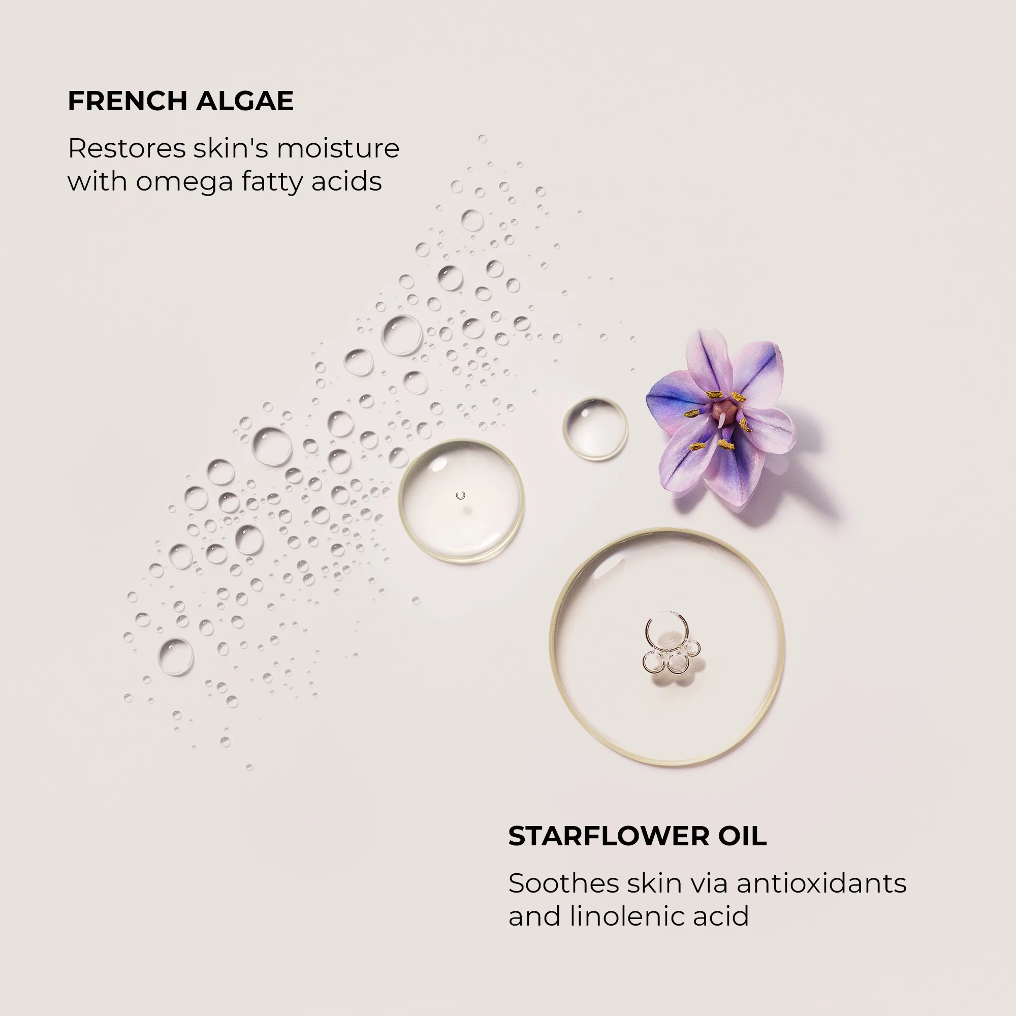Néroli du Sud Serum Body Cream - Image 3
